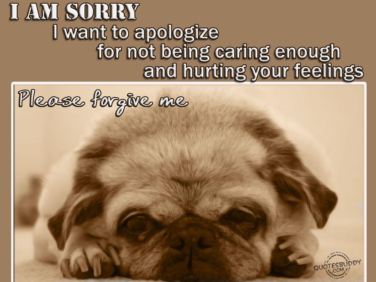 sorry-quotes-n-funny-wallpapers-wallpaper-cave