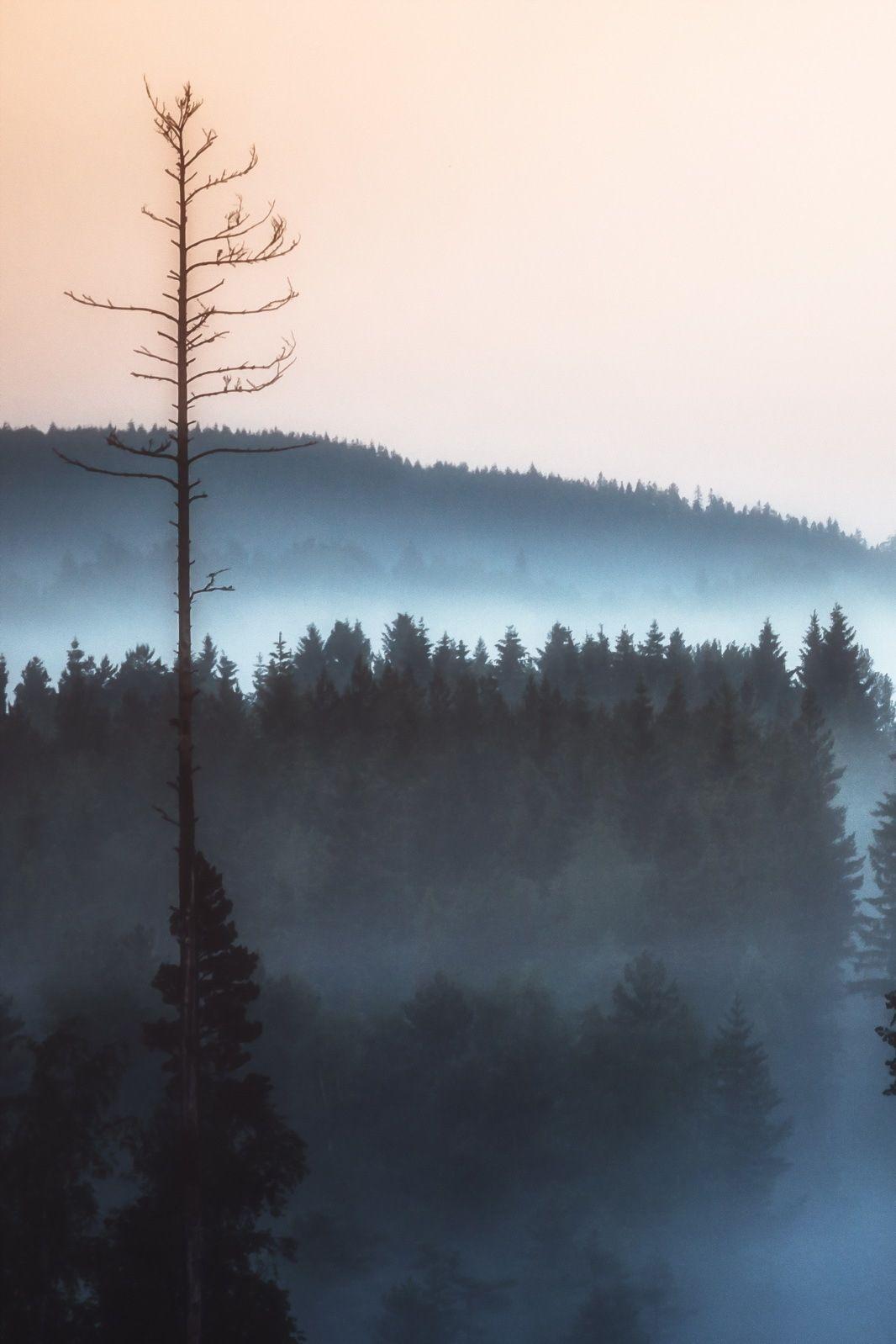 nature phone wallpaper full HD