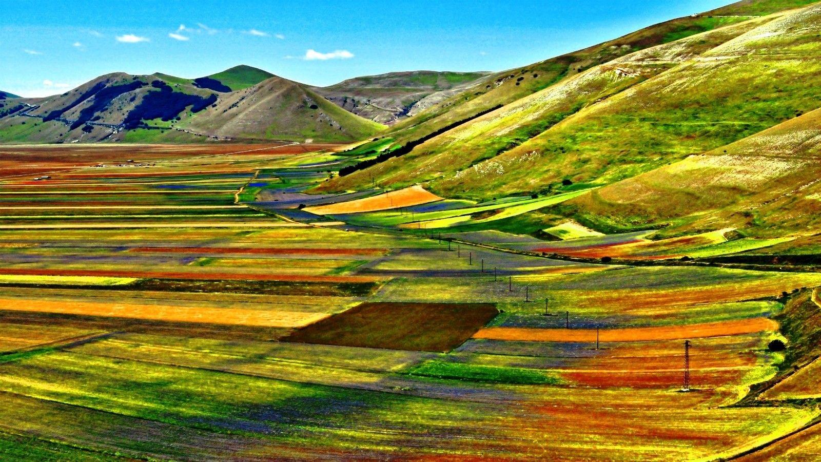 Flowers: Castelluccio Di Norcia Flowers Italy Hills Grass Trees