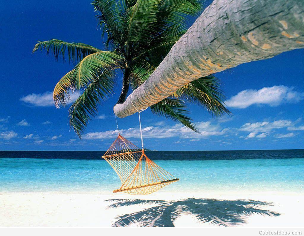 Summer nature wallpaper HD 2015 2016