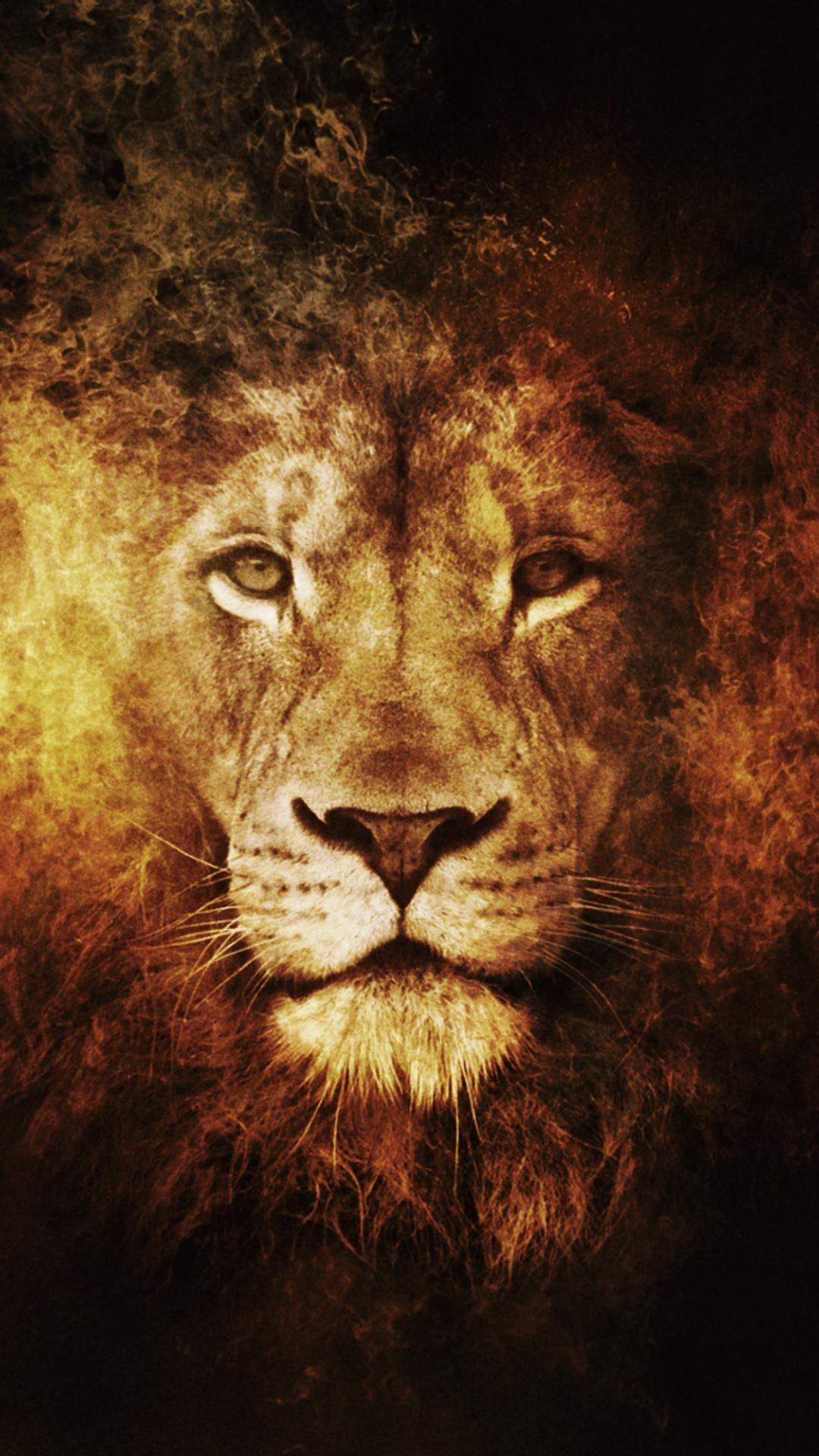 Lion Mobile Wallpapers - Wallpaper Cave