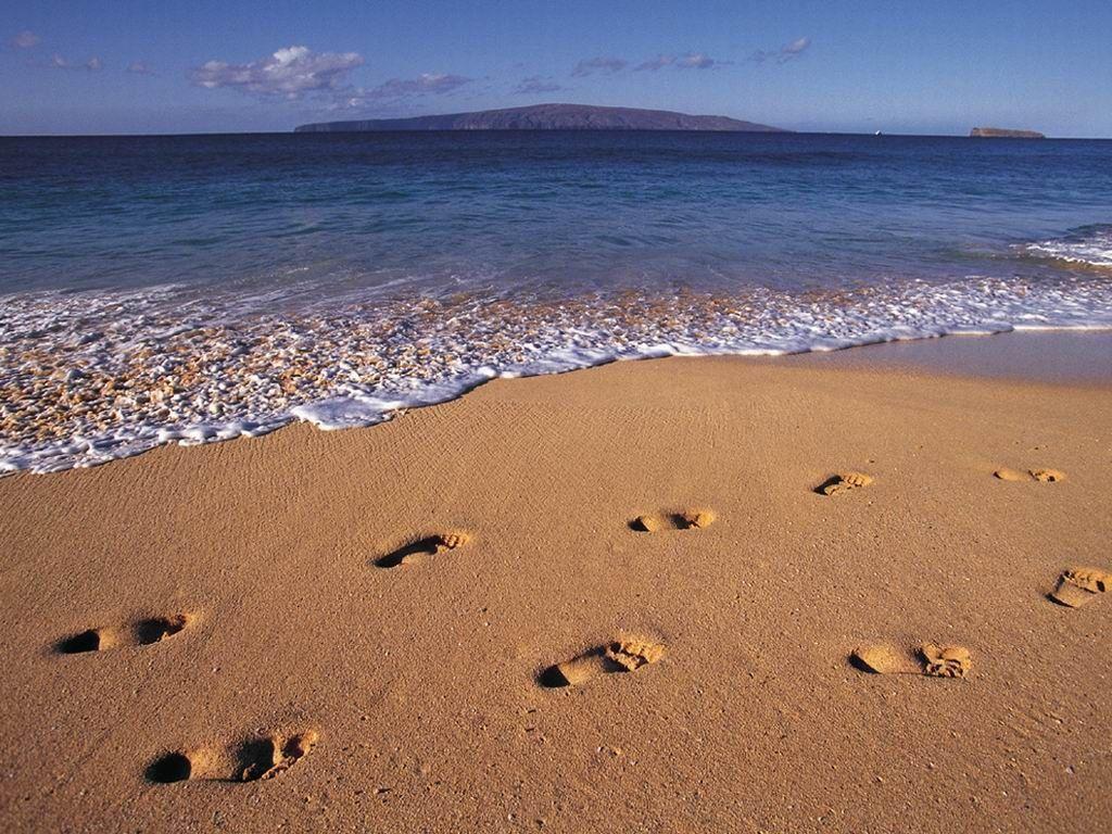 Beaches: Foot Beach Footprints Sand Prints Wallpaper HD for HD 16:9