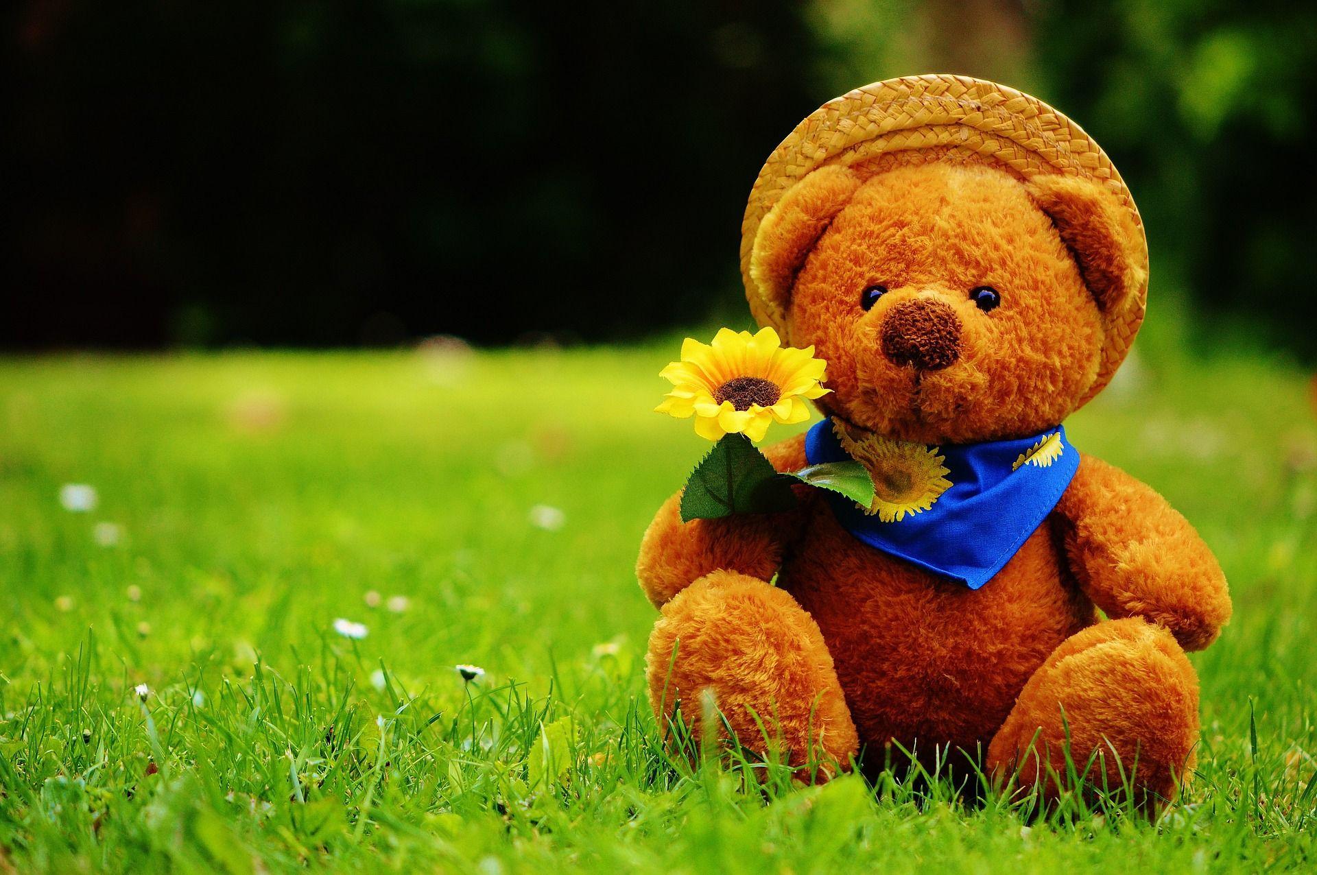 Teddy Bear Computer Wallpaper. Beautiful image HD Picture
