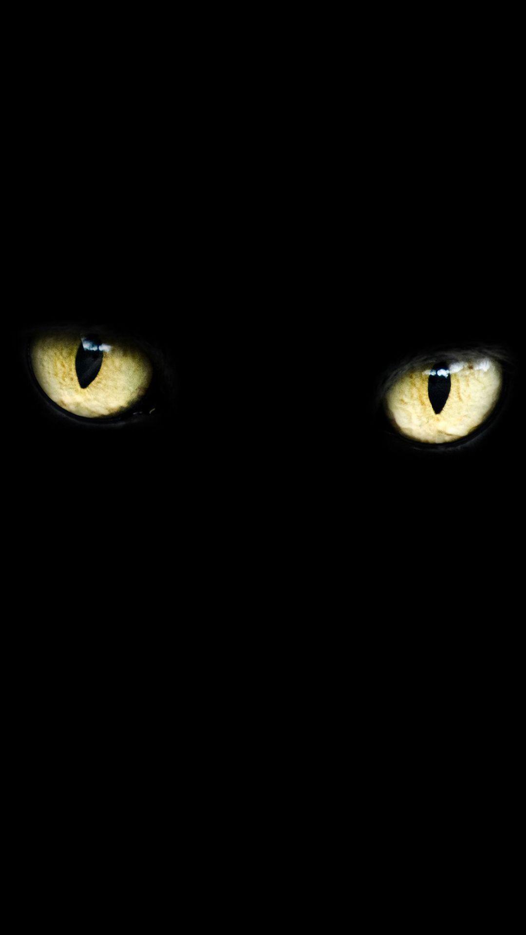 Cat Eyes HD Wallpaper For Your Mobile Phone