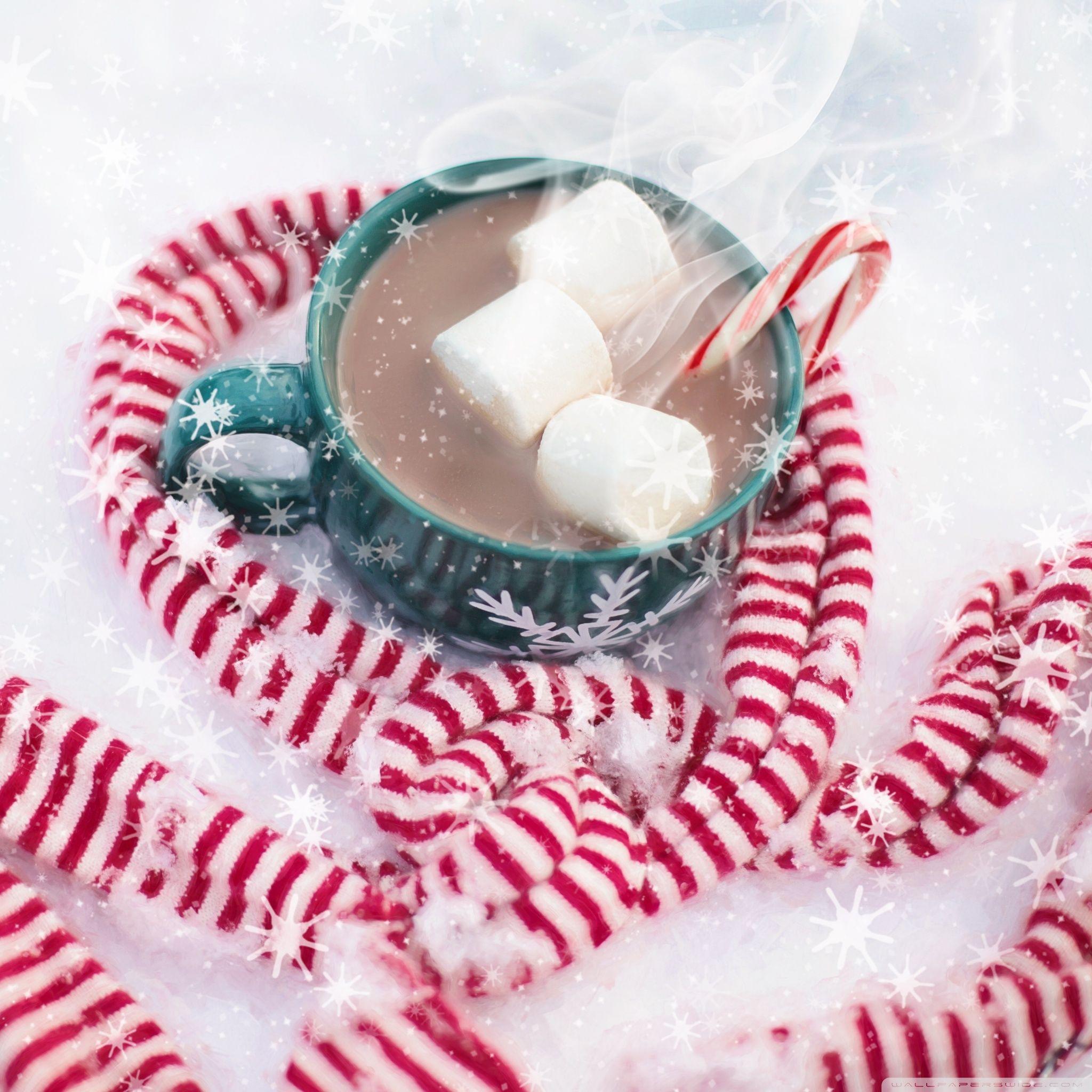 Christmas Hot Chocolate With Marshmallows ❤ 4K HD Desktop Wallpaper