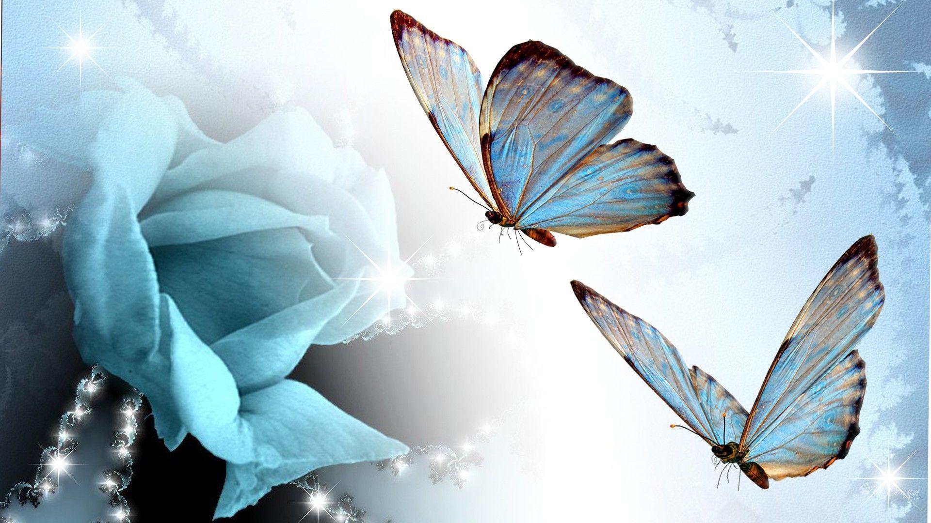 Butterflies Butterfly Blue Persona Rose Summer Firefox Abstract