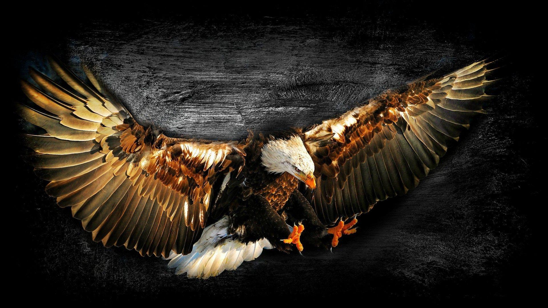 Bald eagle work of art wallpaper. PC