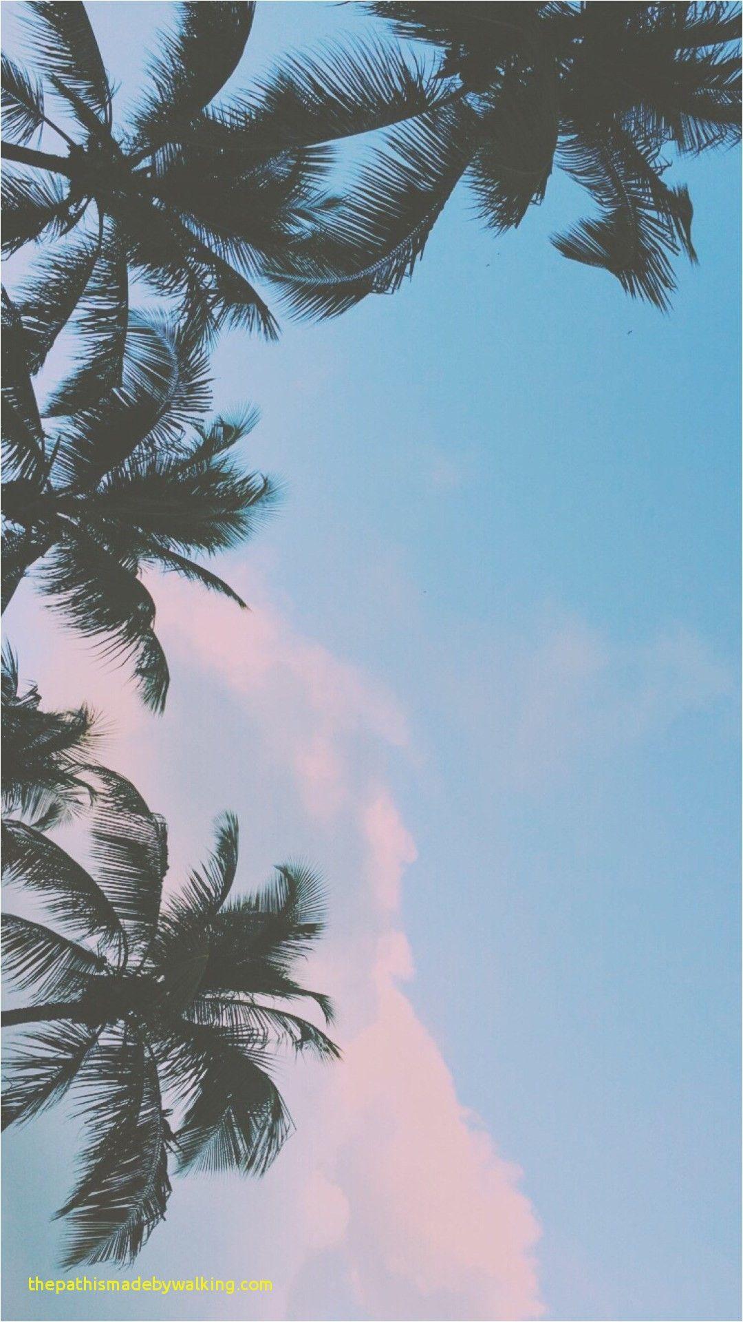 Palm Tree Tumblr Background Fresh Dope Wallpaper for iPhone 85
