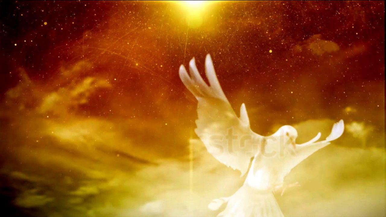 Holy Spirit in a form of Dove background loop 1080p Full HD