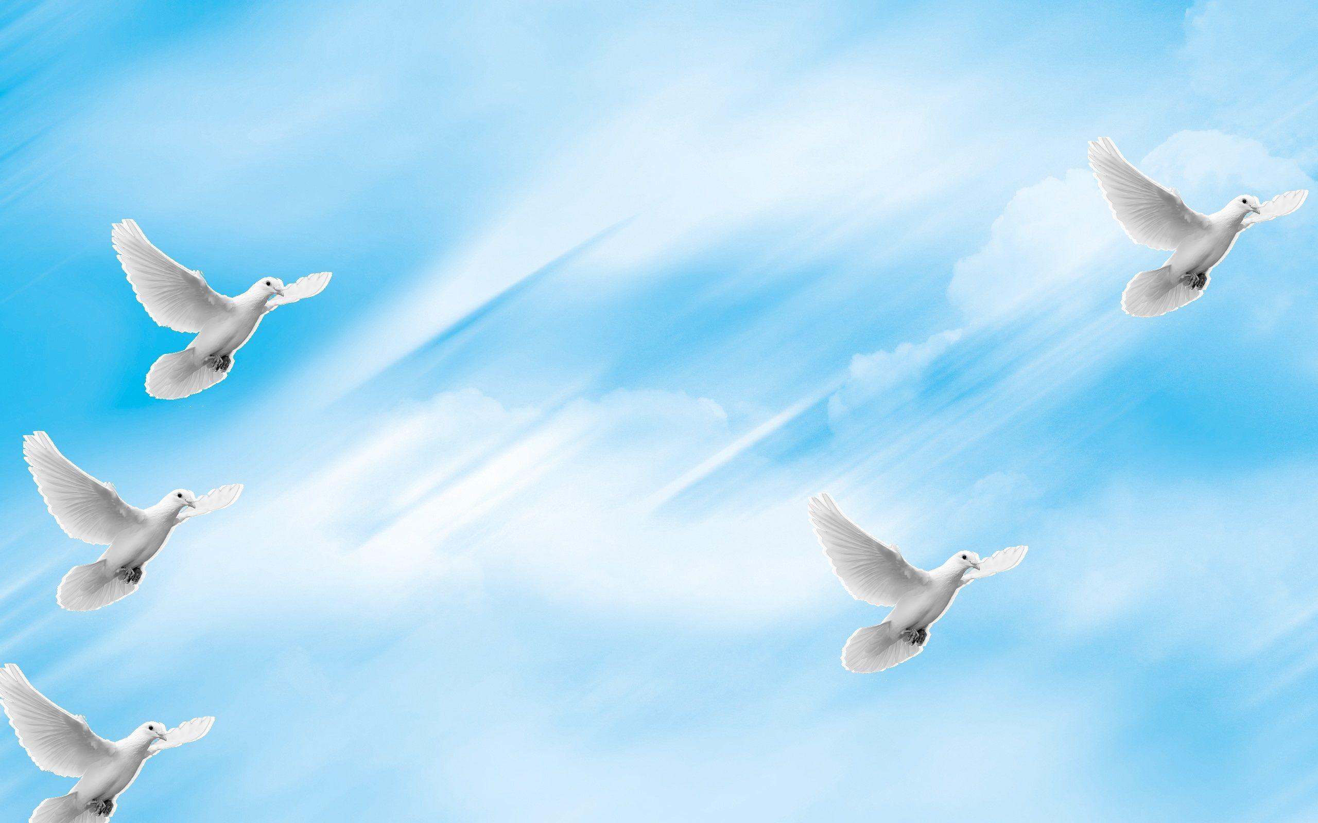 heavenly dove background 8. Background Check All