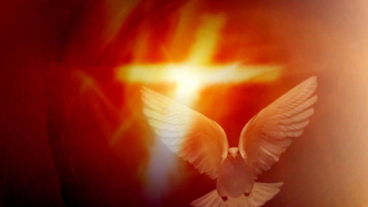 Video background Spirit in a form of Dove 1080p Full HD