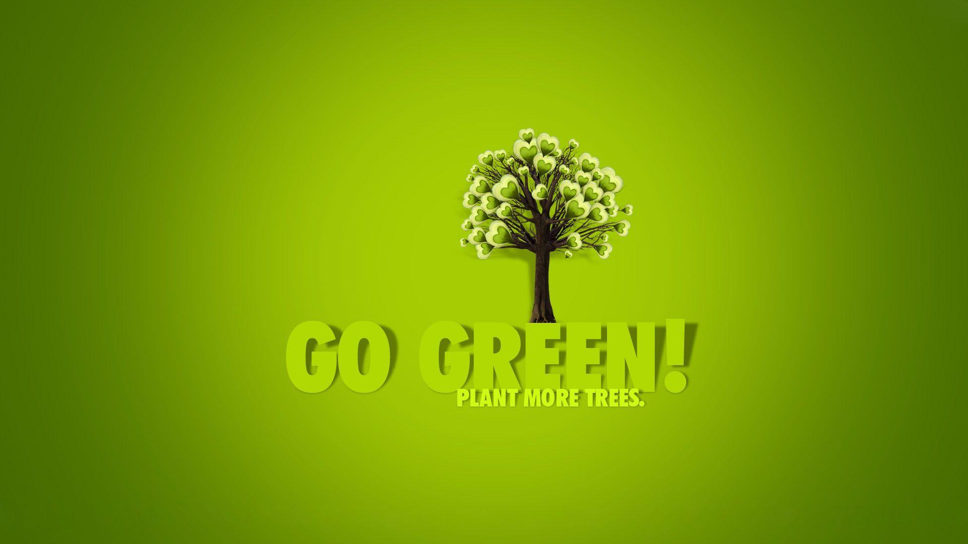 Go Green Save Tree Hd Desktop Wallpaper. CHENNAI FOOD SCENE