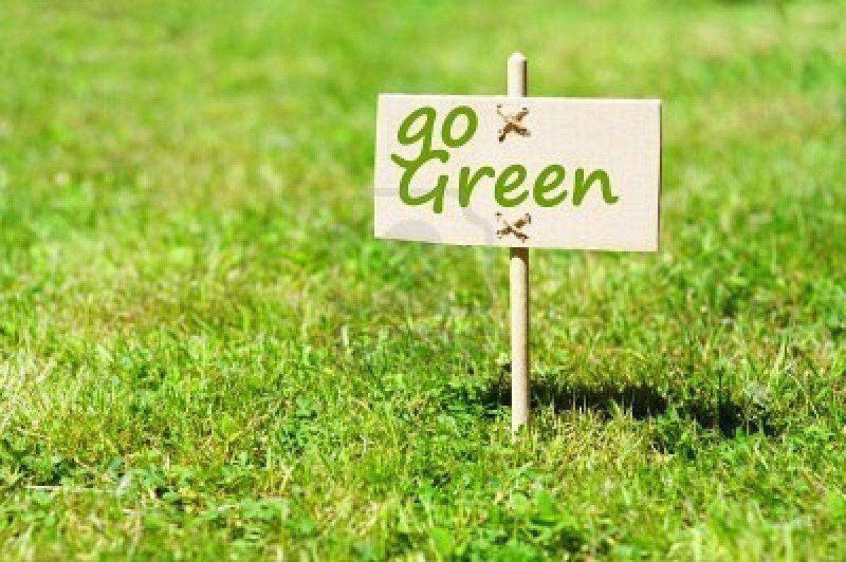 GO green HD wallpaper on earth day day - Quotes