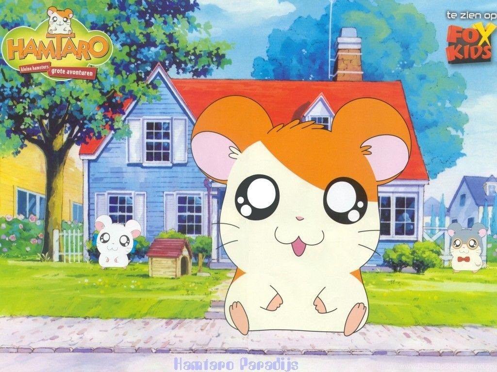 Hamtaro Background Desktop Background