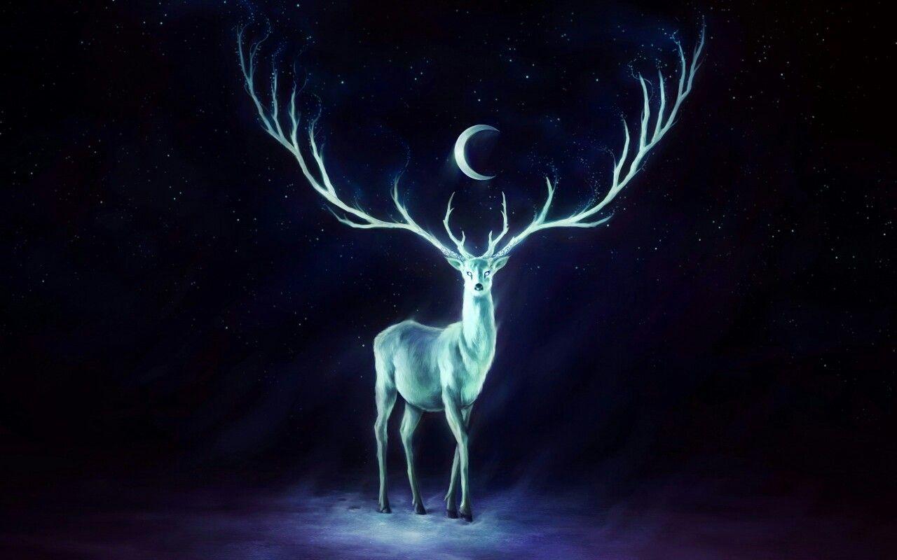 Weißer Hirsch im Mondlicht