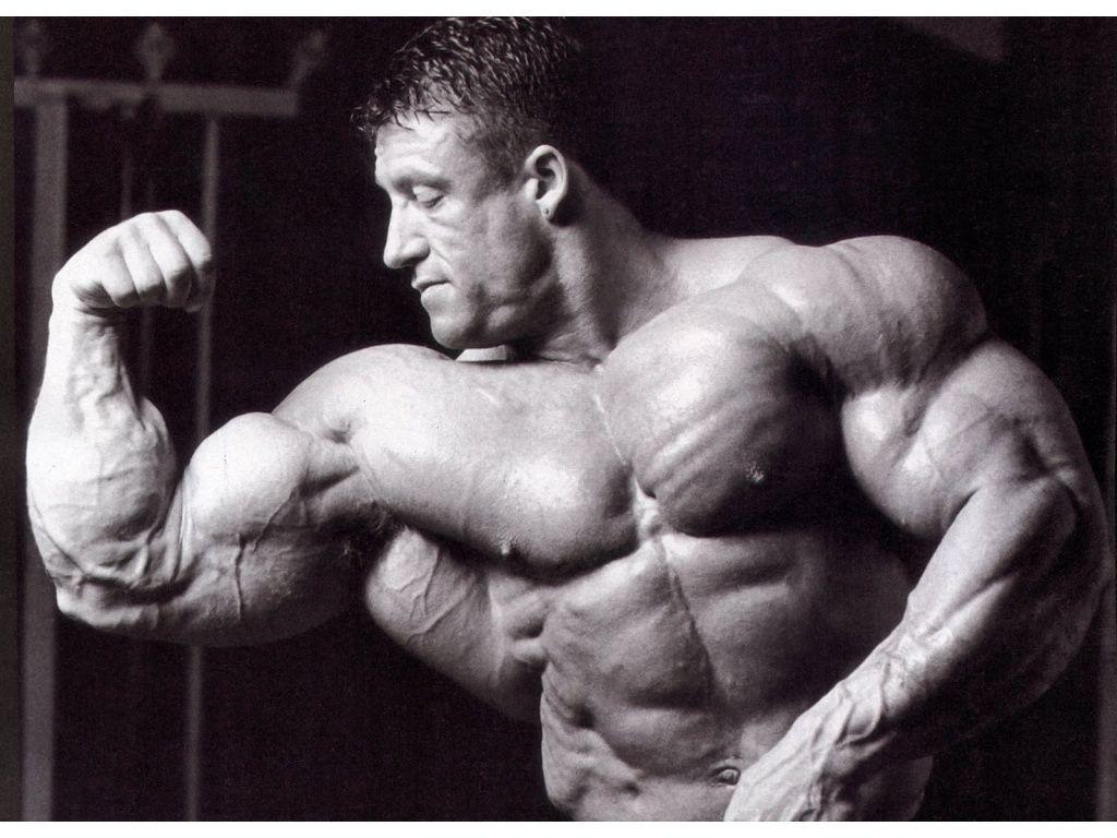 Bodybuilder Wallpaper