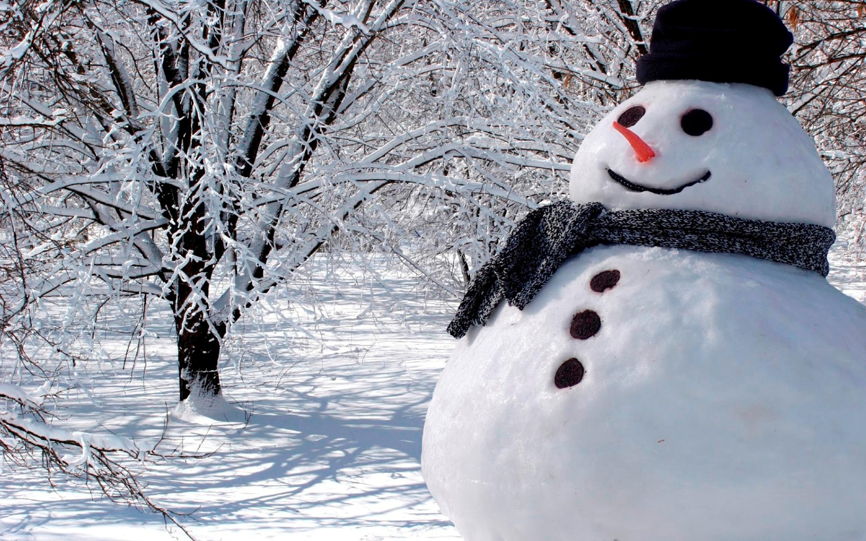 White Real Snowman Wallpaper (2880×1800). Greetings Season