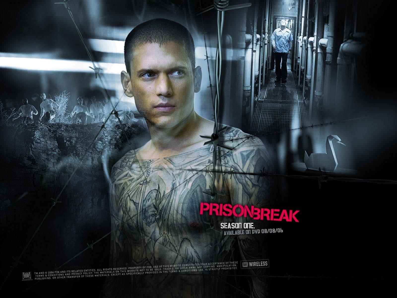 Michael Scofield Tattoo s Wallpaper Prison Break Movies Wallpaper