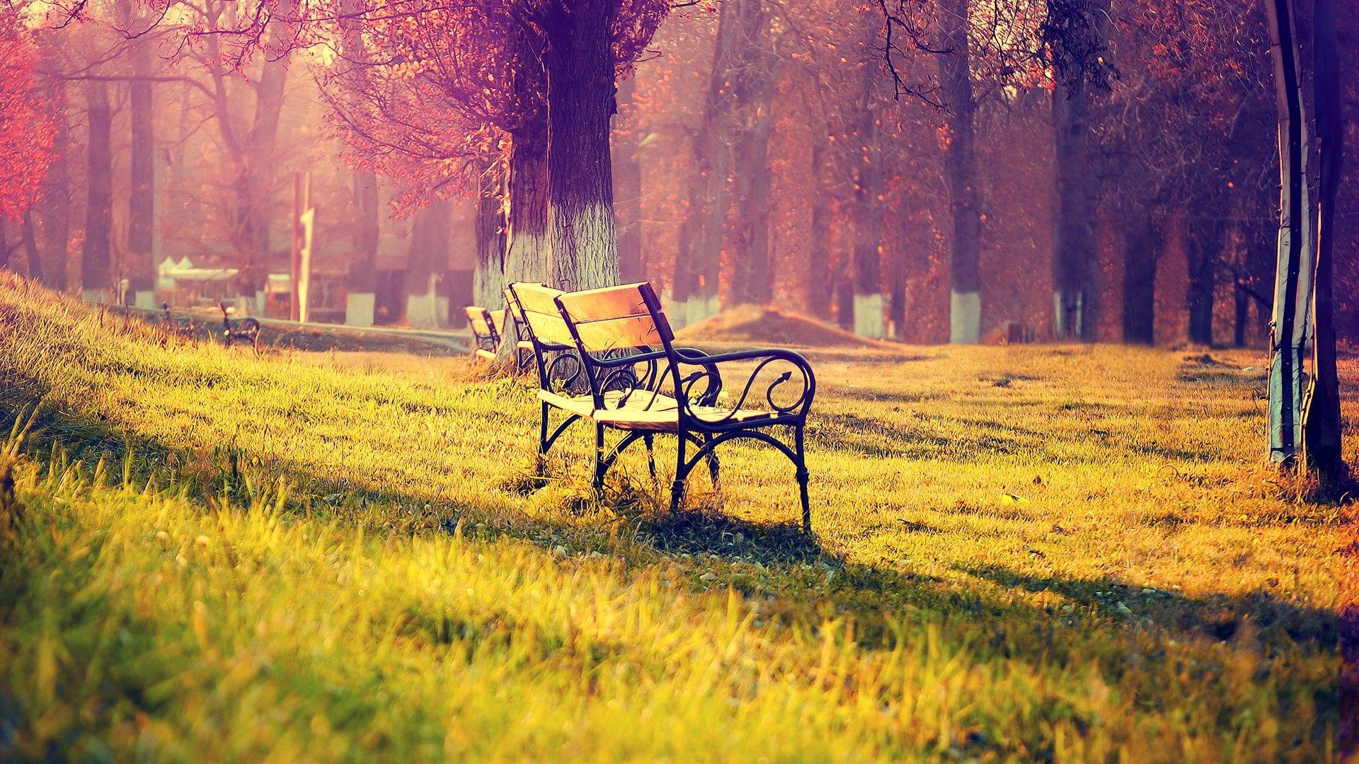 Wallpaper.wiki Download HD Cool And Nice Image PIC WPD0010655