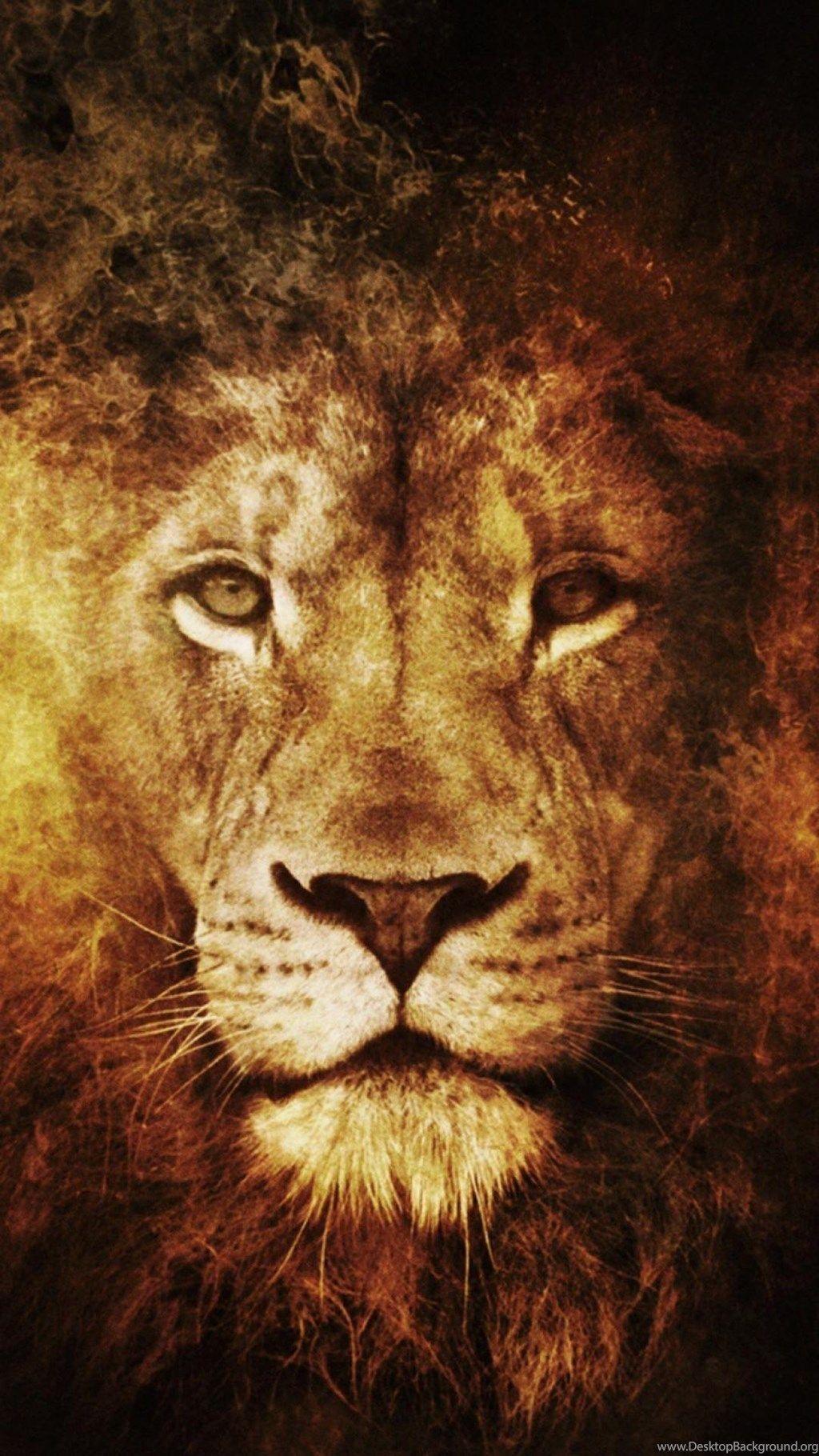 Fire King Artwork Lions Narnia Aslan Wallpaper Desktop Background