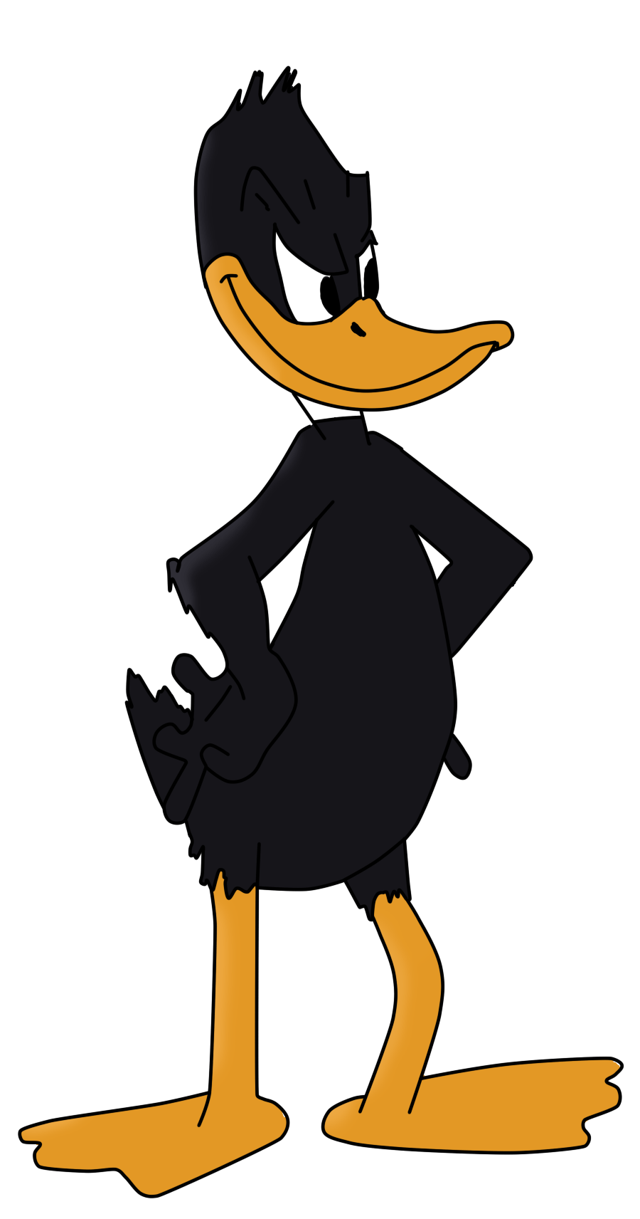 Daffy Duck image Daffy Fan Art HD wallpaper and background photo