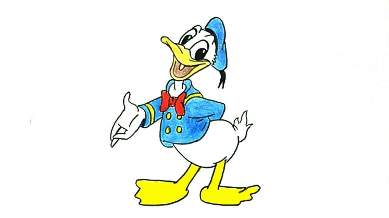 Donald Duck Cartoon Drawing.com. Free for personal