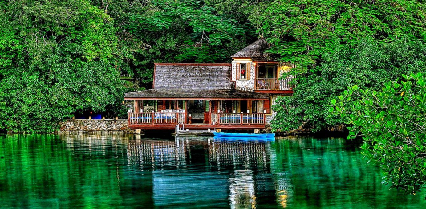 Jamaica State Bird Background Wallpaper. HD Wallpaper Gallery