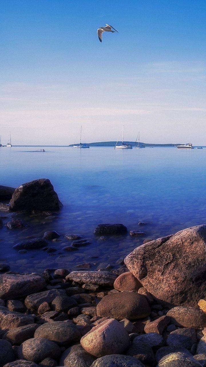 Seagull Beach Sea Boat lenovo phones Wallpaper HD Mobile