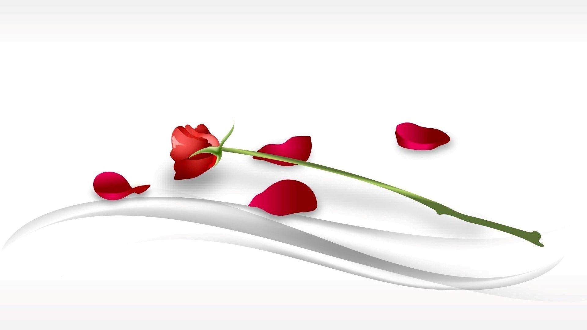 Symbol of Love Red Rose