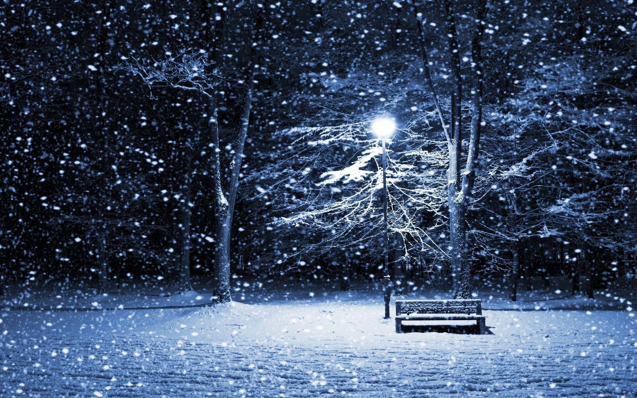 Park Bench in Snow at Night wallpapers