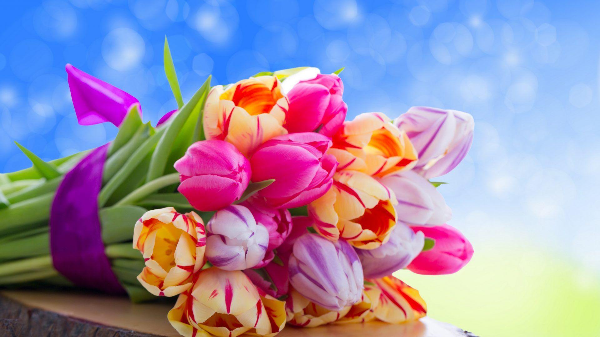beautiful love wallpaper for desktop full screen flowers tulips