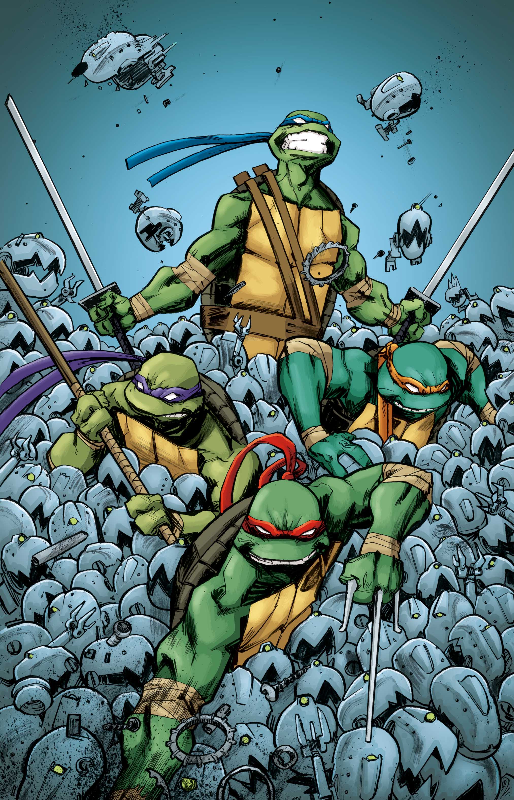 Teenage Mutant Ninja Turtles (TMNT) Cover a Duncan Background Image