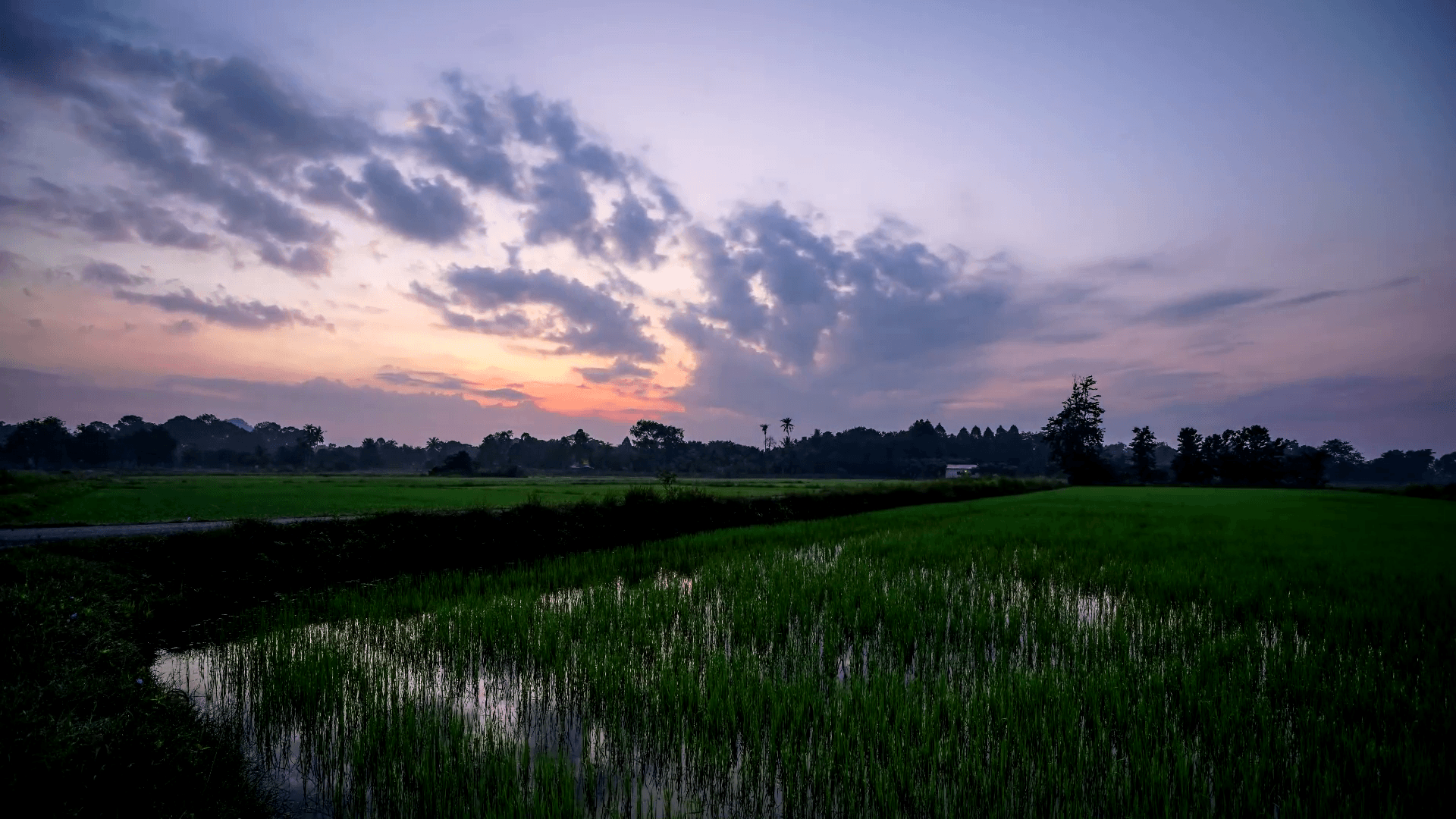 Timelapse of sunrise in Perlis, Malaysia Stock Video Footage