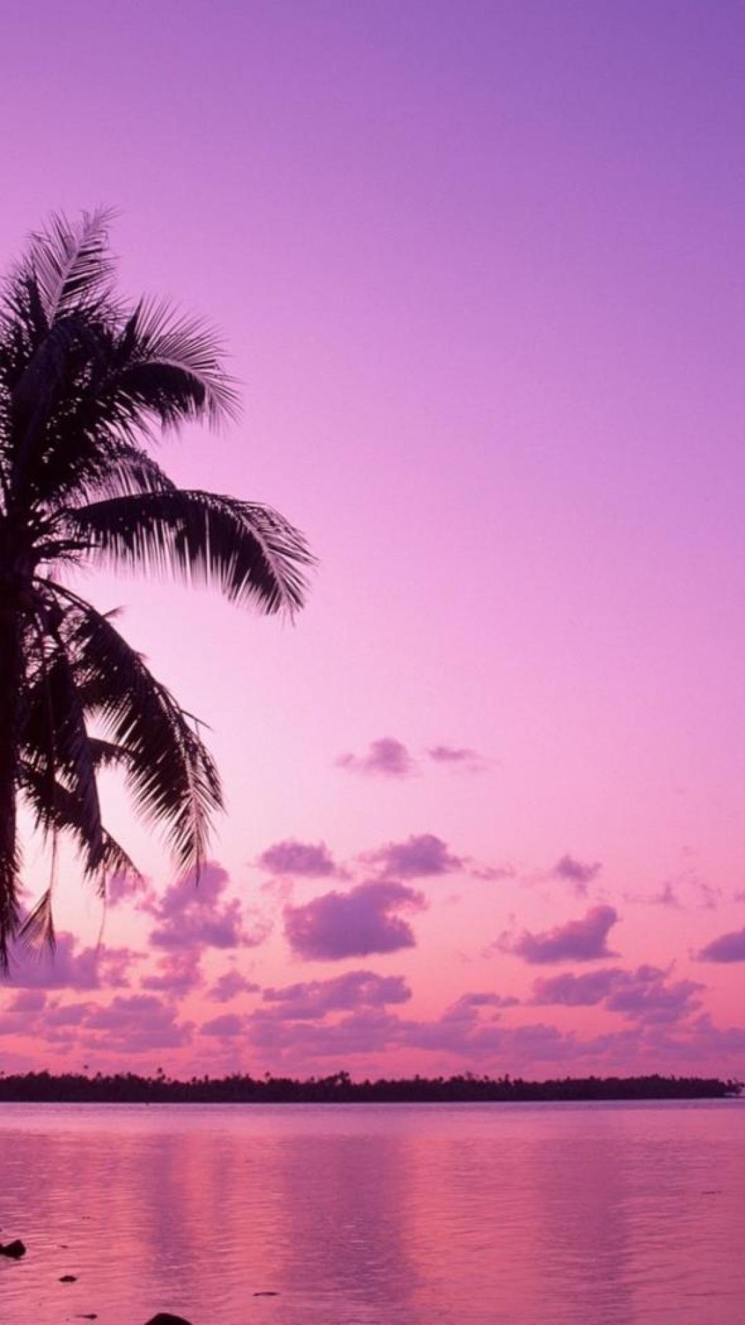 Pink tropical sunset palm trees pink sunset tropical HD phone wallpaper   Peakpx