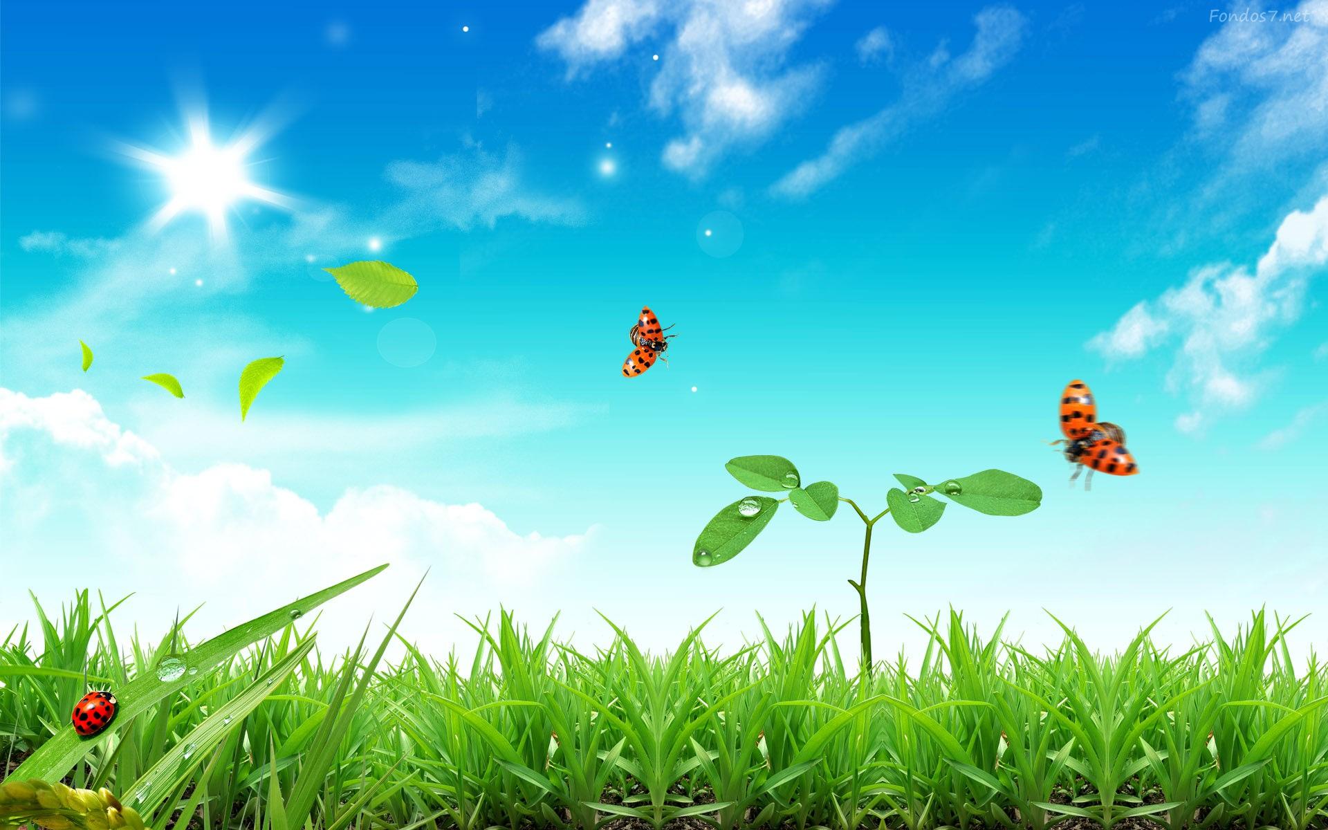 Fresh FB cover HD wallpaper. HD Latest Wallpaper