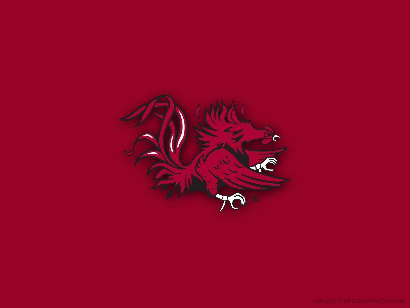 South Carolina USC Gamecocks iPhone Wallpaper Colleges in 1600x1200