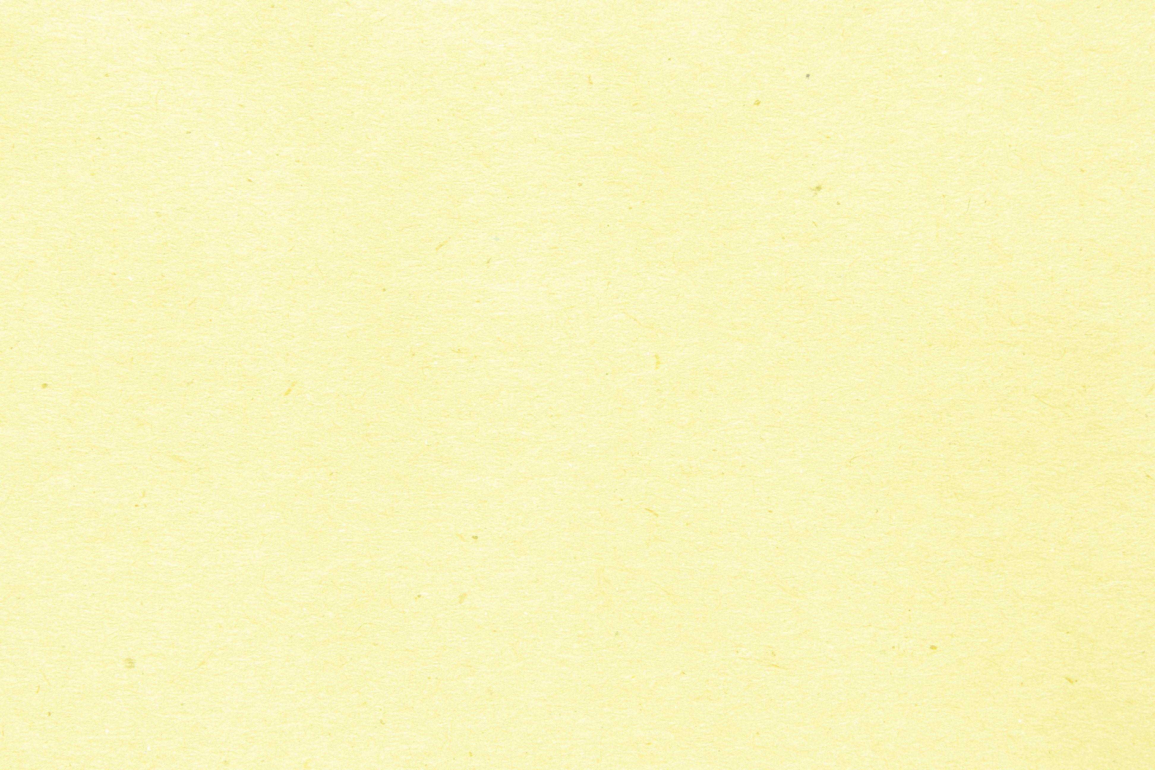 Luxury Light Yellow Background Color Ornament Page