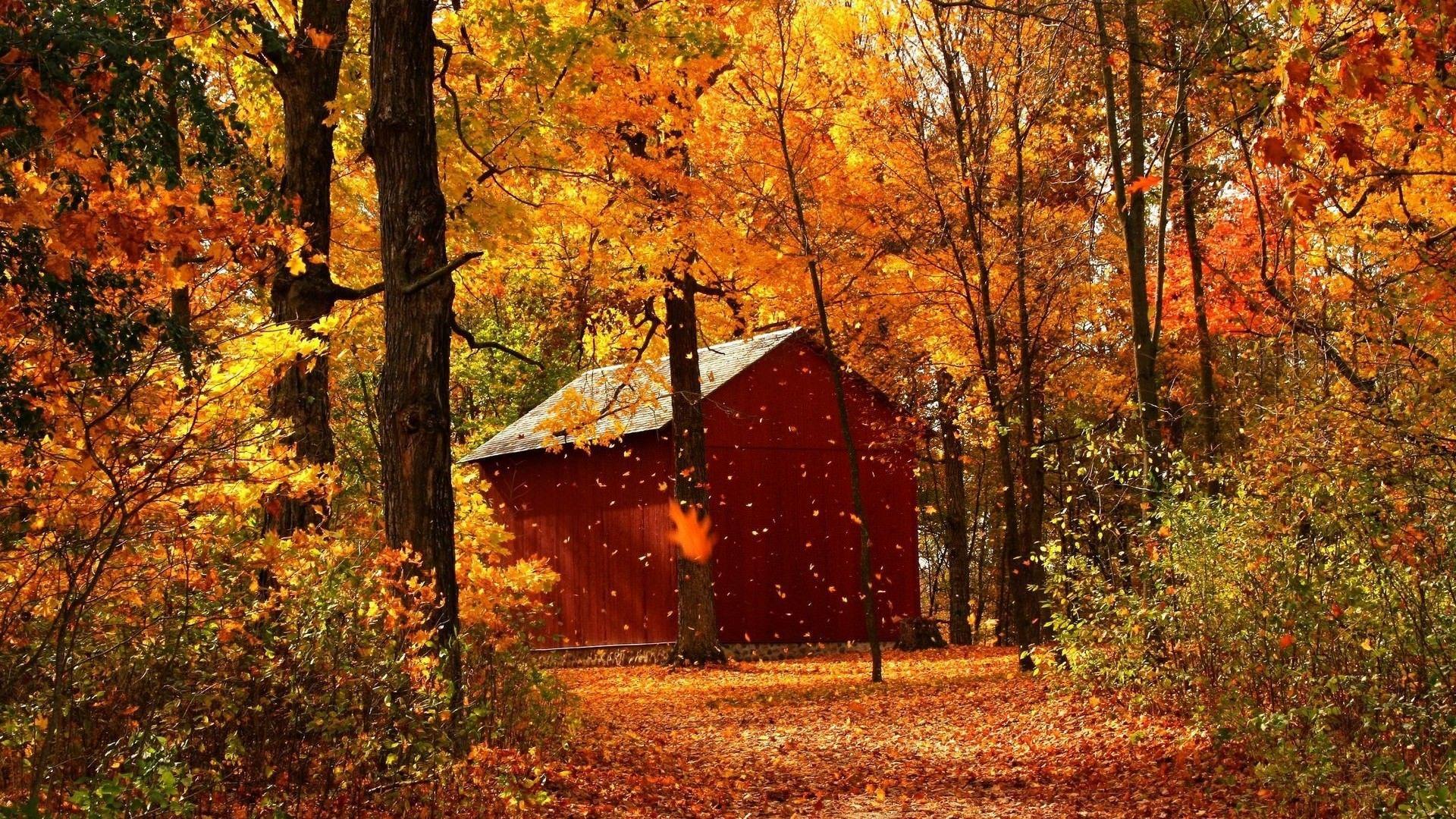 Autumn Wallpaper, Background, Image, Picture. Design