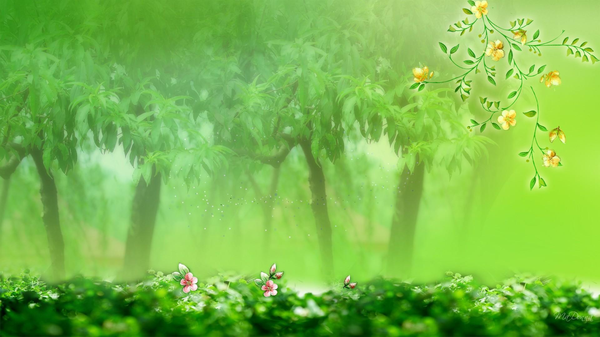 Green Spring Trees HD desktop wallpaper, Widescreen, High