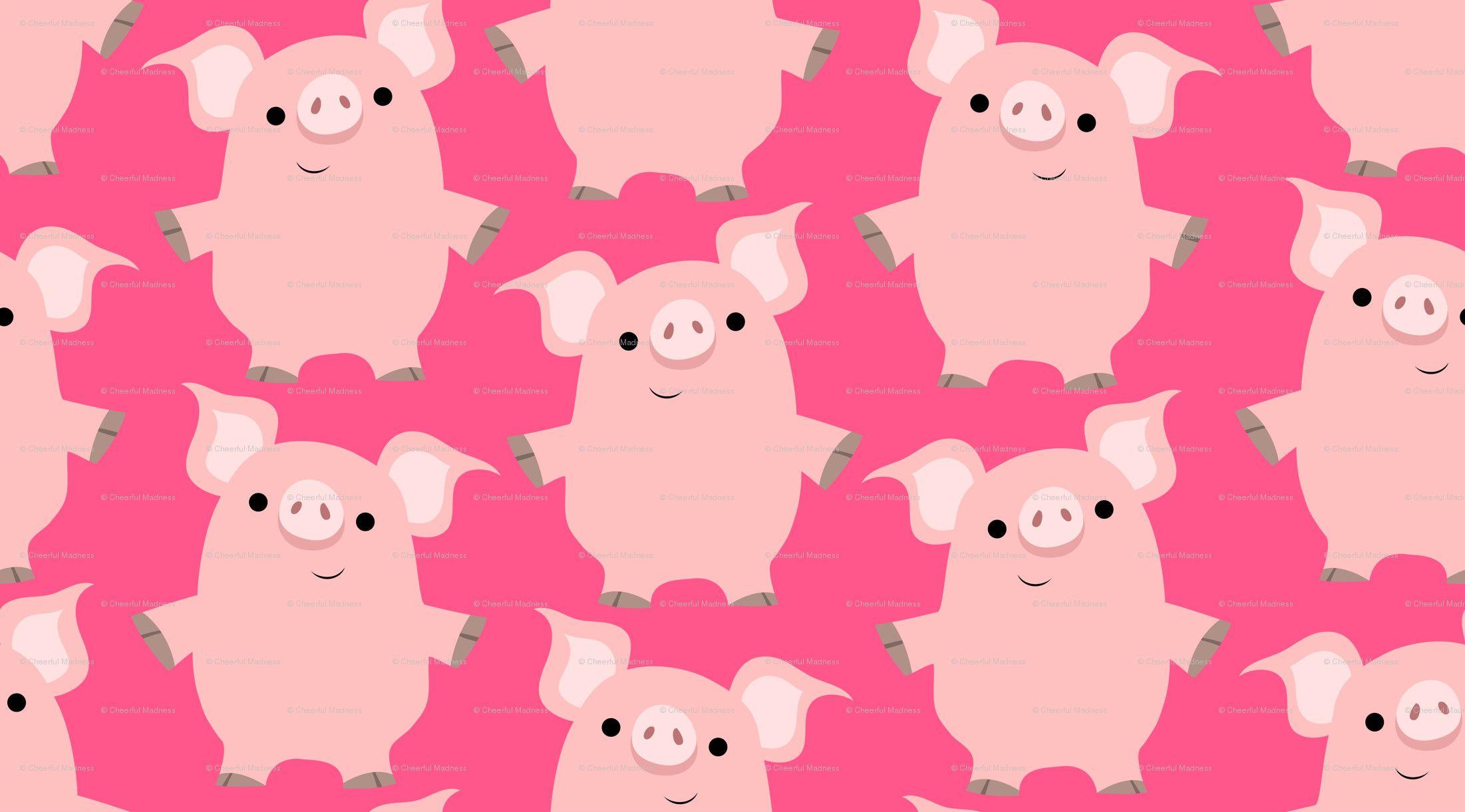 Baby Pigs Wallpaper