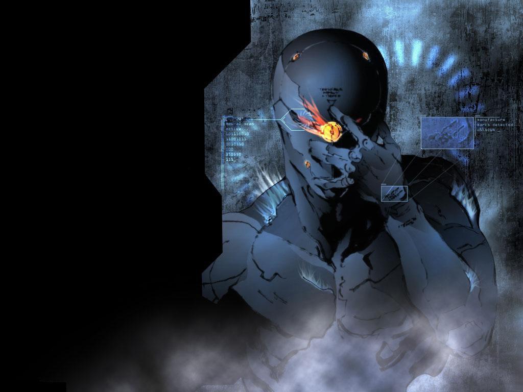 Gray Fox