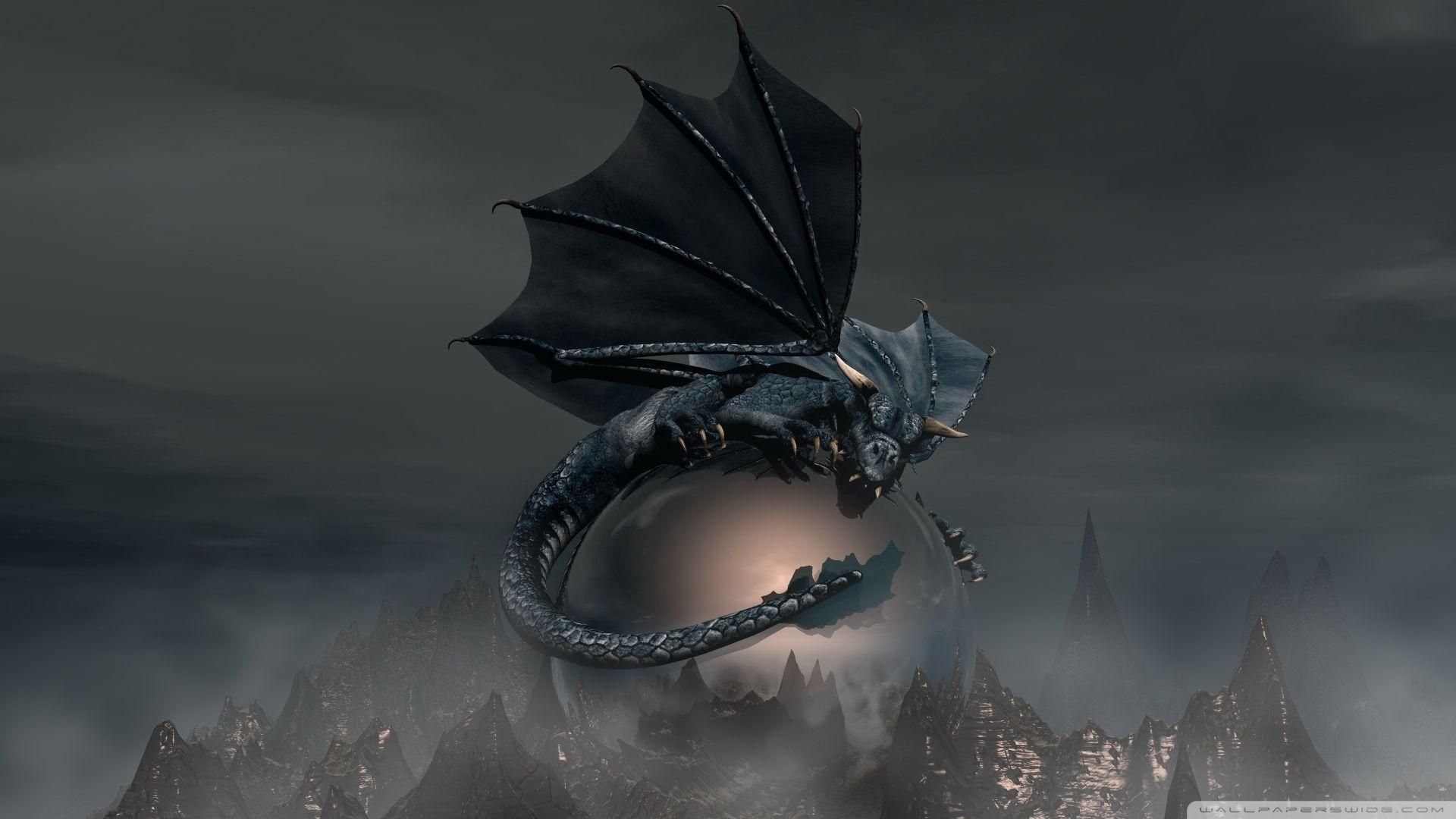 Black Dragon ❤ 4K HD Desktop Wallpaper for 4K Ultra HD TV • Wide