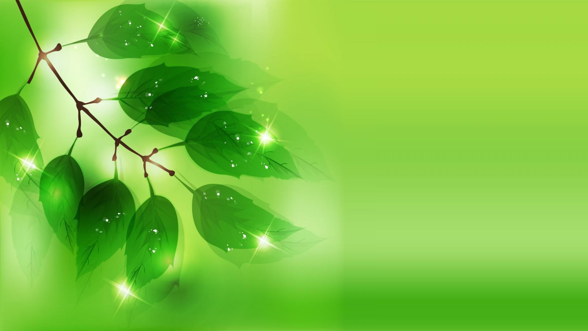 Free Green Wallpaper Desktop
