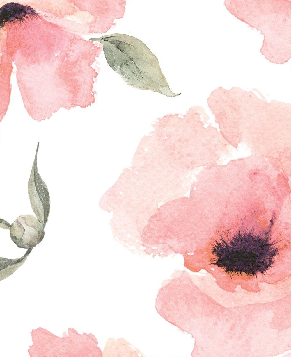 Watercolor Poppy Flowers Wallpaper and Stick