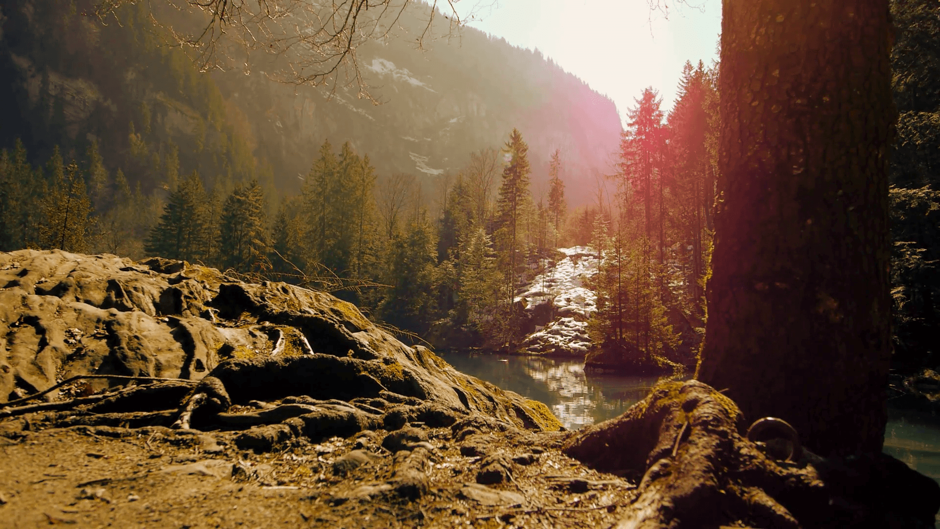 nature resort background Stock Video Footage