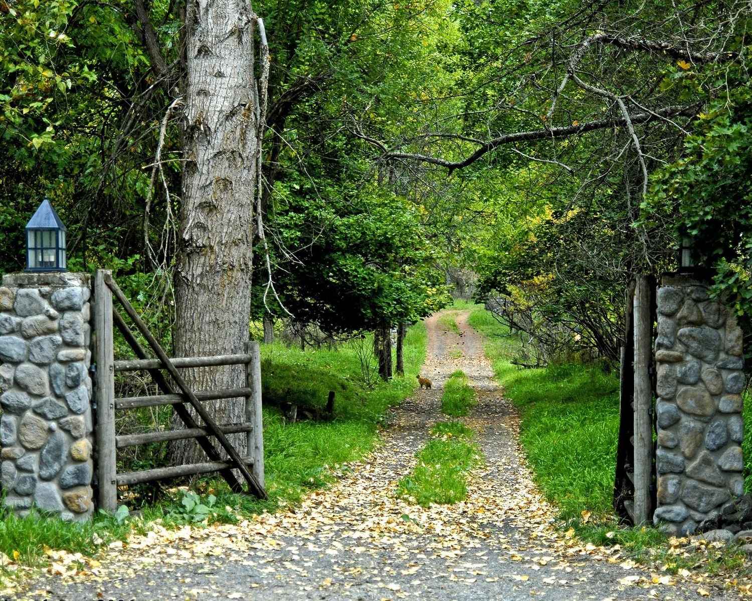 Japanese Garden Wallpaper HD Wallpaper Background, nachural garden