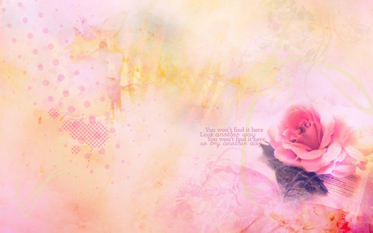 Flowers: Rose Texture Minn Deviant Flowers Pink Soft HD Background
