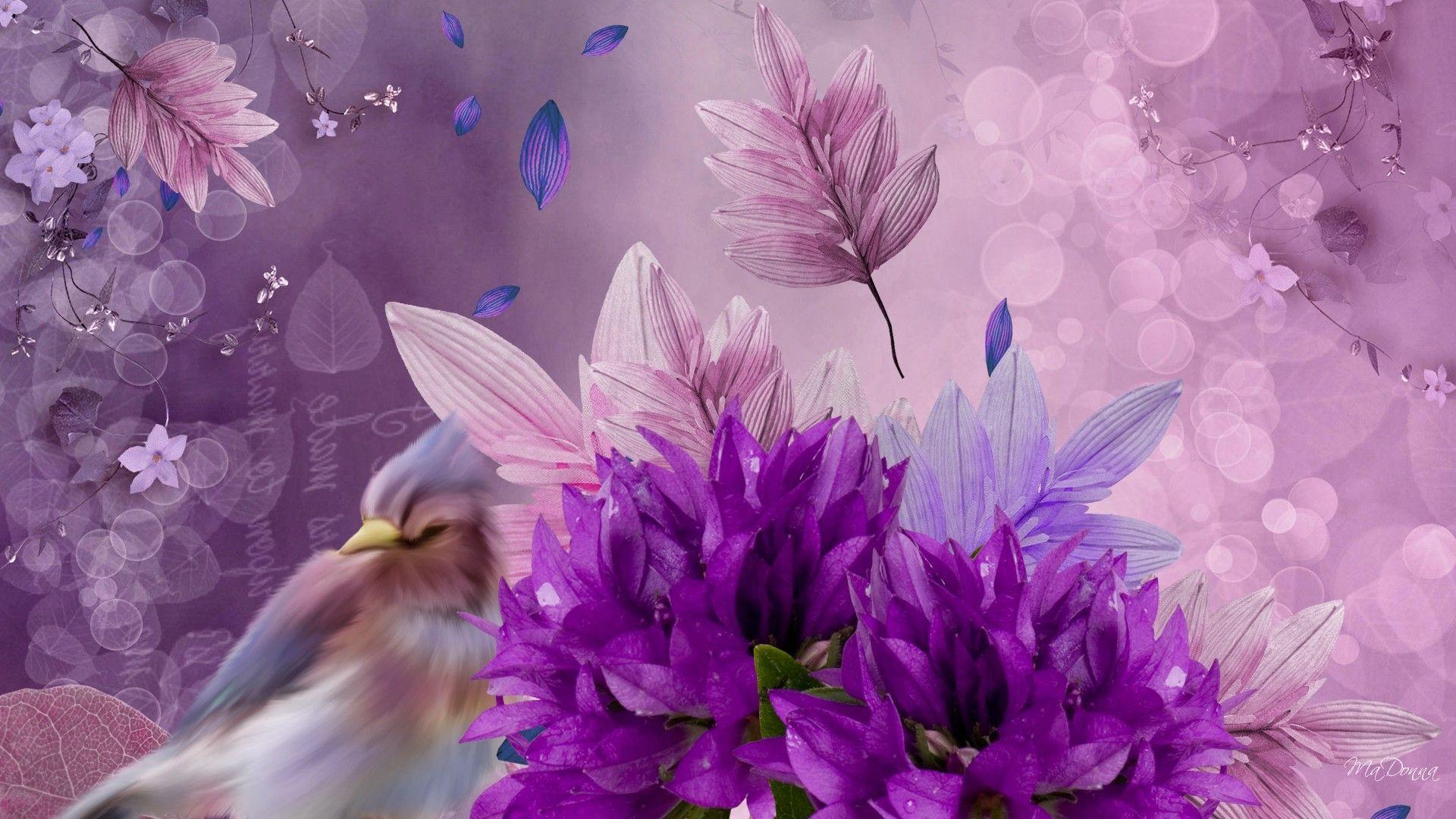 Flowers Firefox Lavender Bokeh Leaves Persona Purple Drama Bird