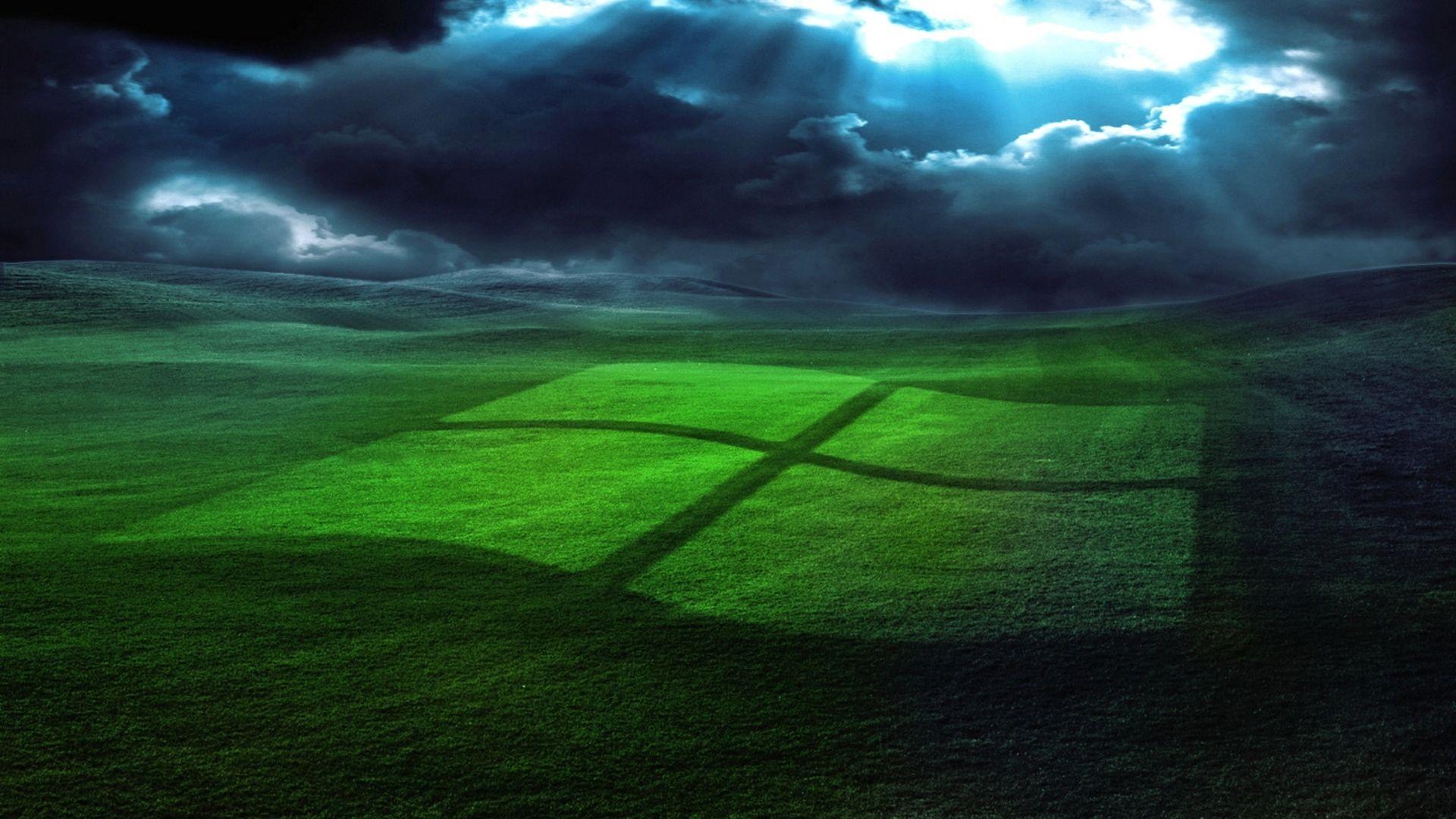 Windows Field Grass HD Wallpaper