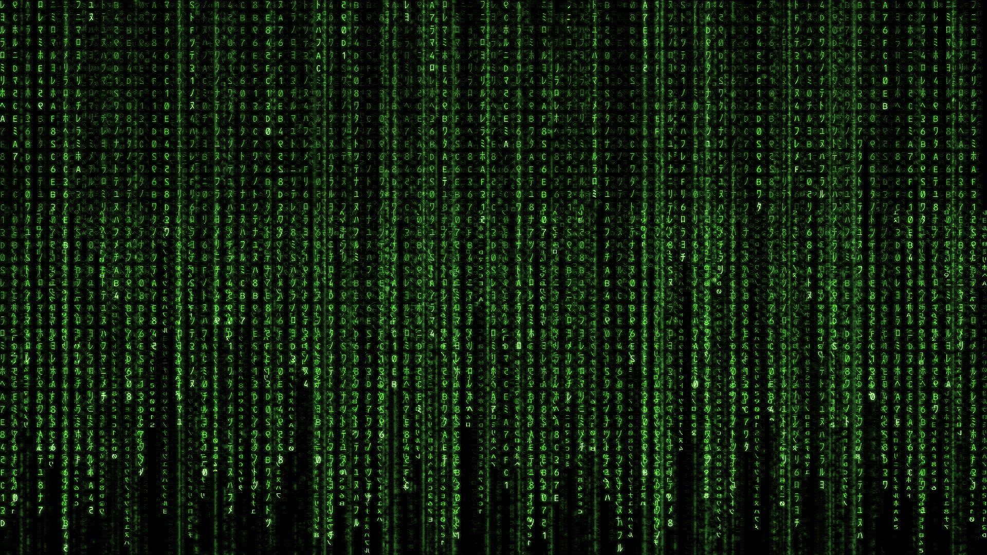 The Matrix Wallpaper 17 X 1080